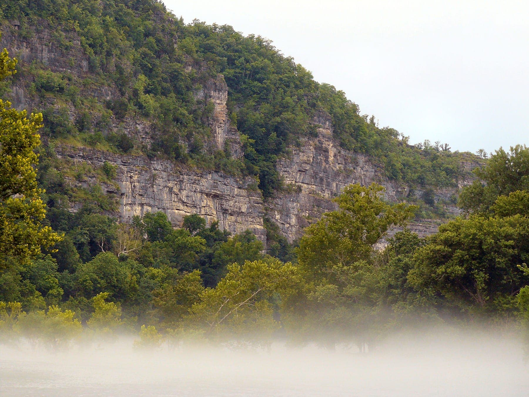 Morning fog below a limestone bluff on the Buffalo River