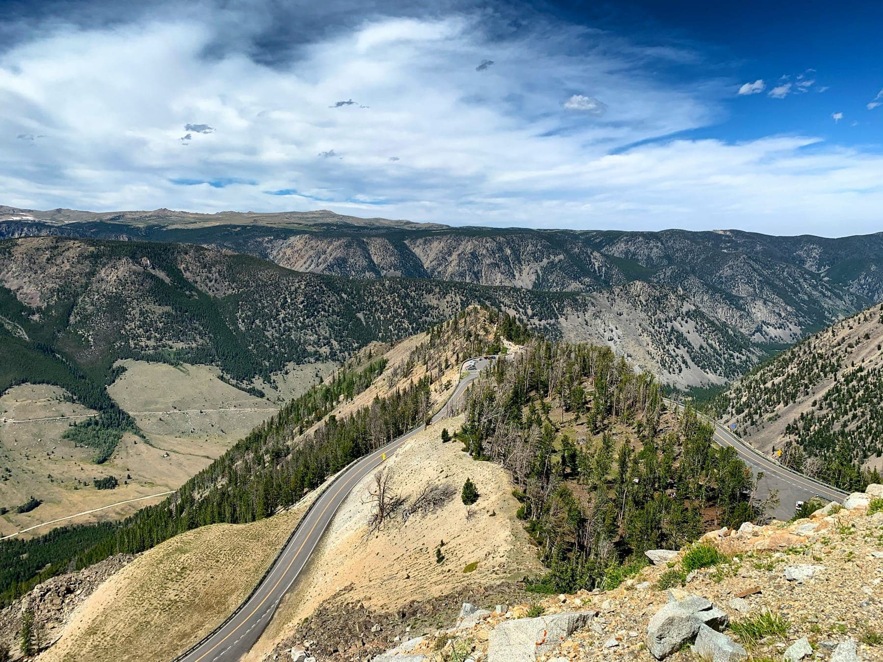 The Beartooth Highway switchbacking up a canyon wall above the pines
