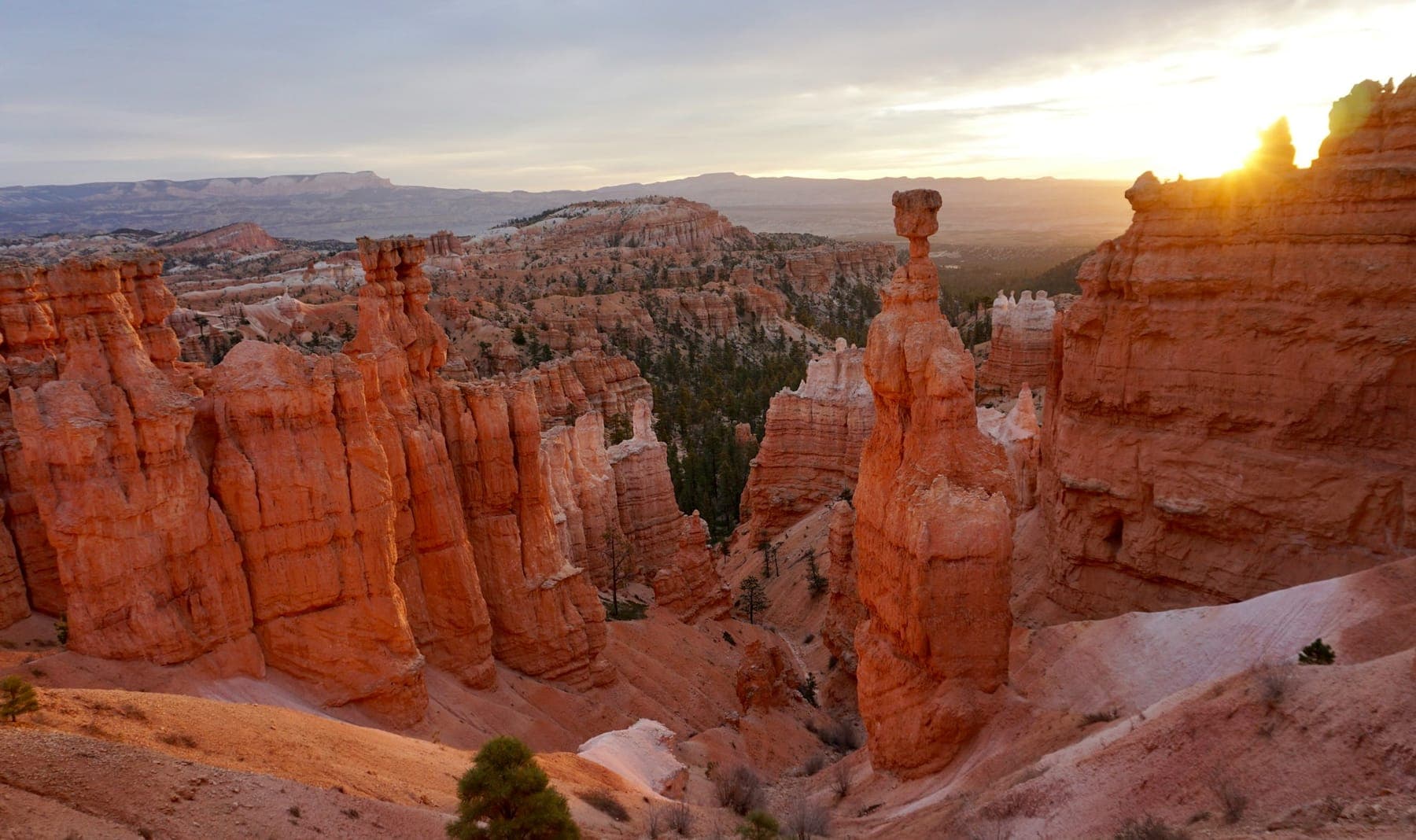 Sunrise on the hoodoos of the Bryce Canyon amphitheater