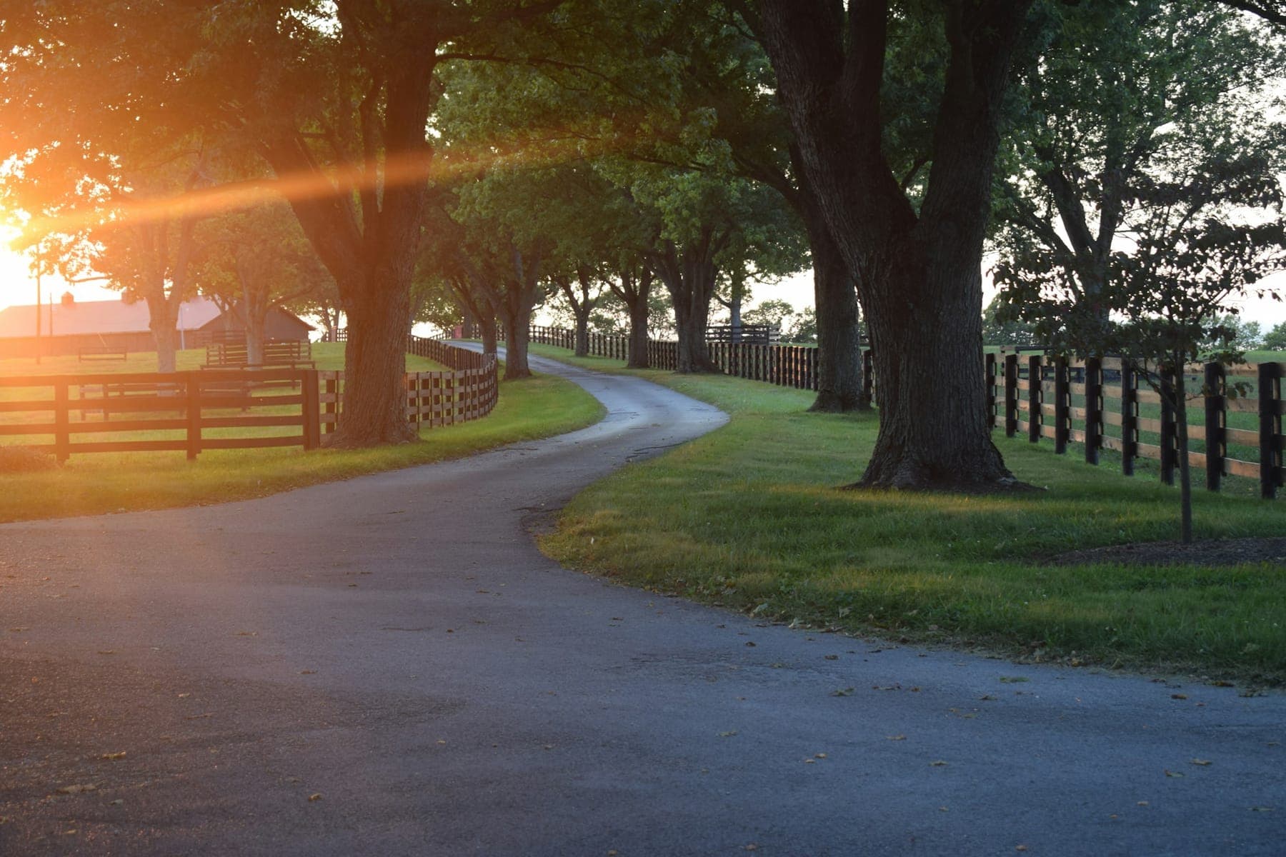 A tree-lined lane winding through a horse farm near Paris, Kentucky, at sunset