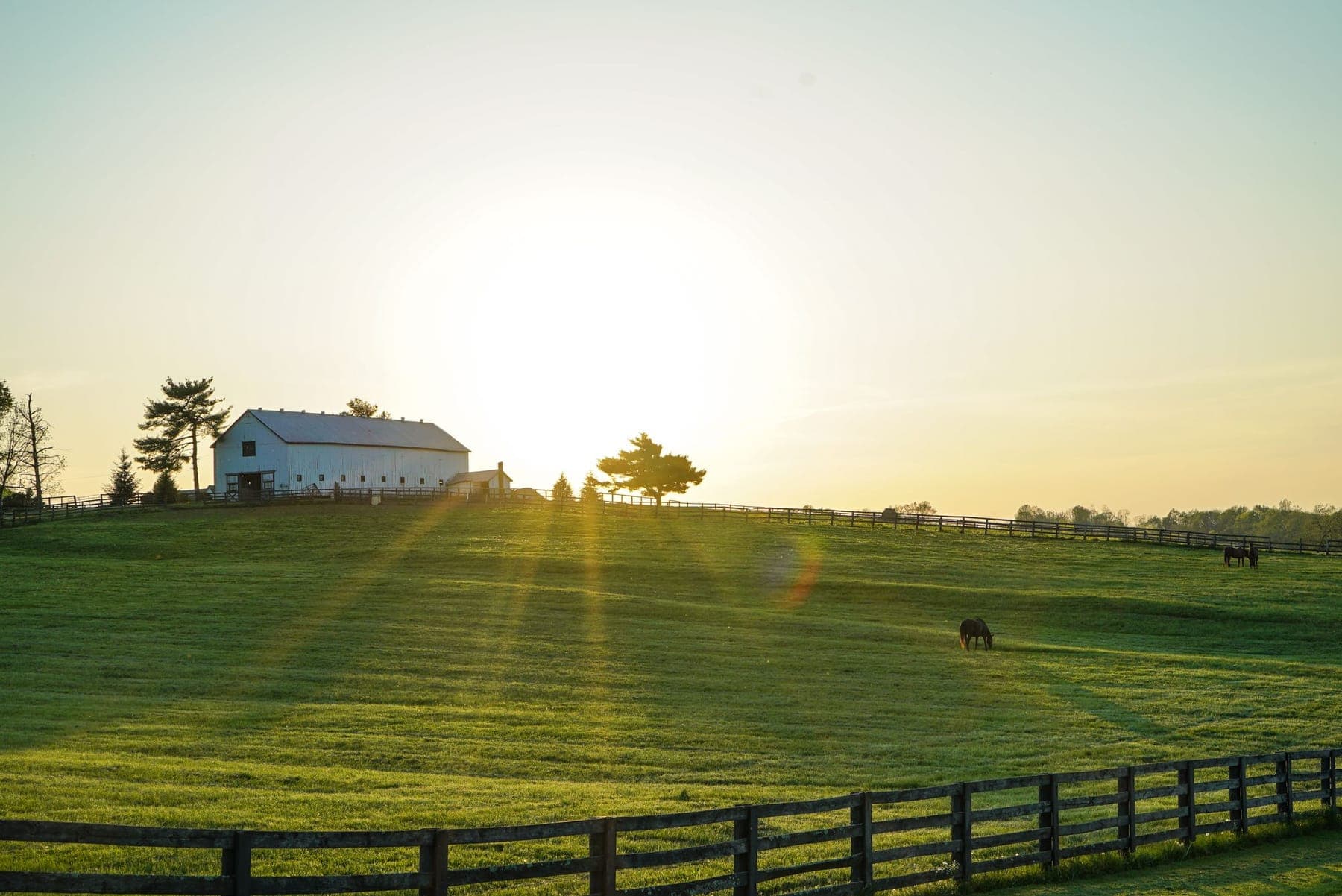 Sunrise over a Kentucky horse farm with a white barn, grazing horses, and black plank fences