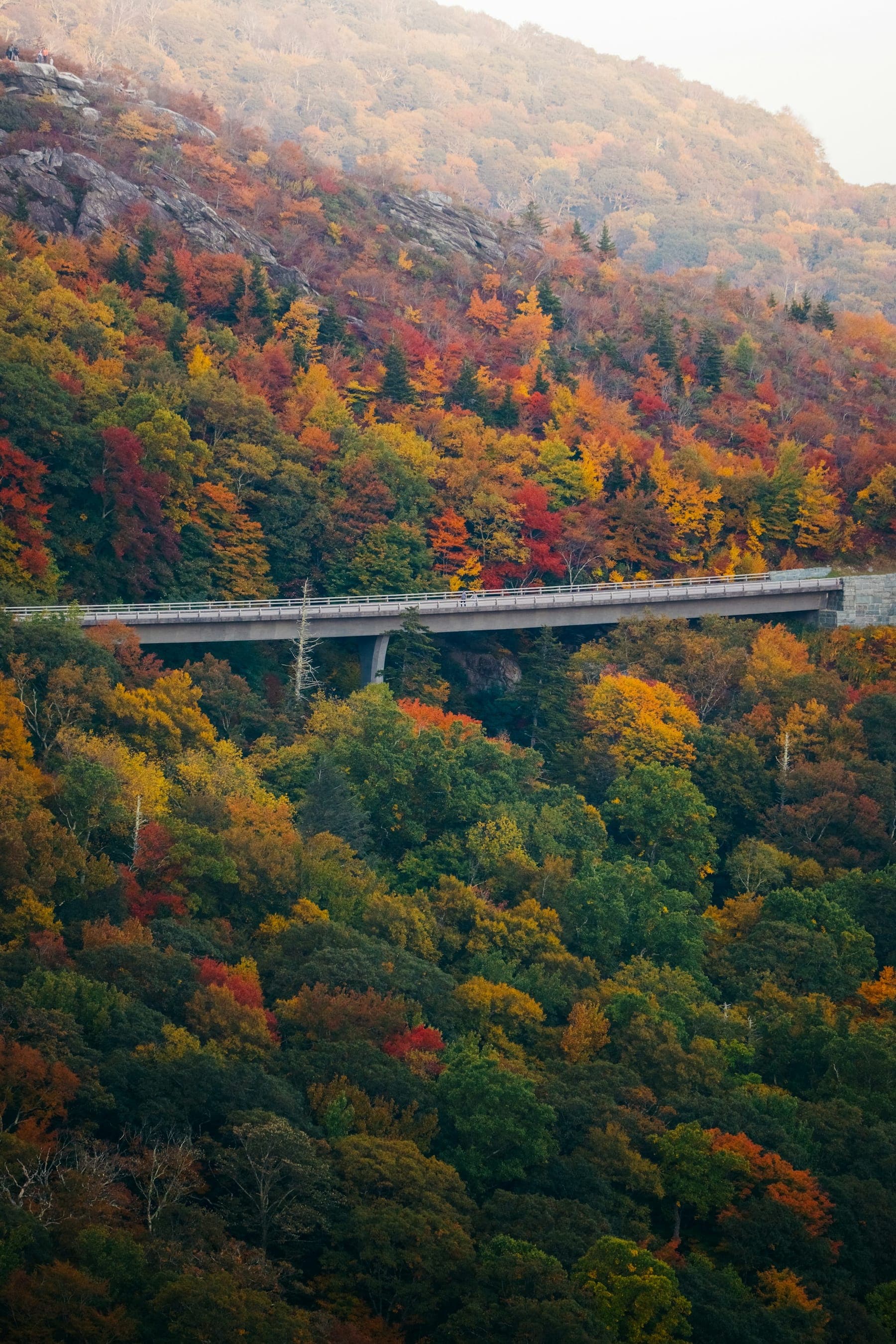 The Linn Cove Viaduct curving around Grandfather Mountain in fall color