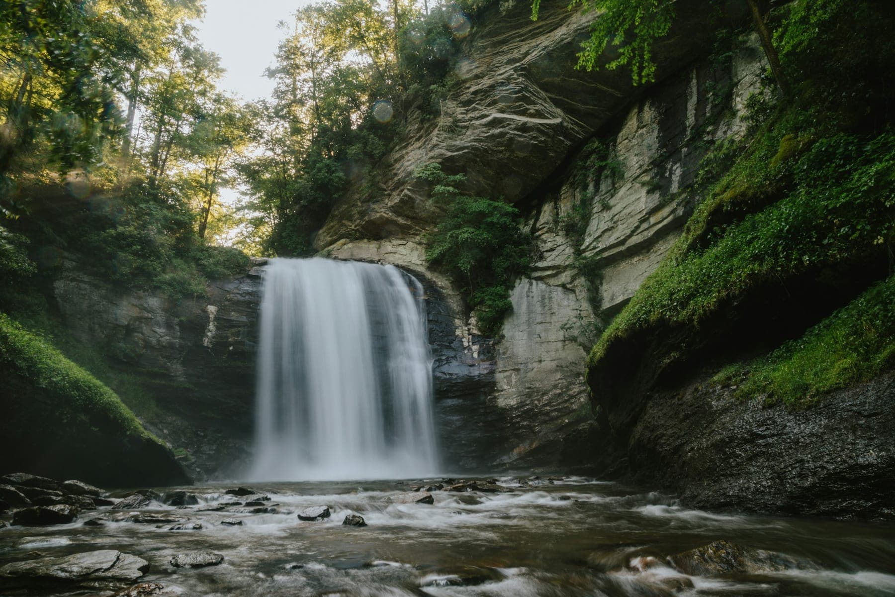Looking Glass Falls pouring over its rock ledge into a mossy pool