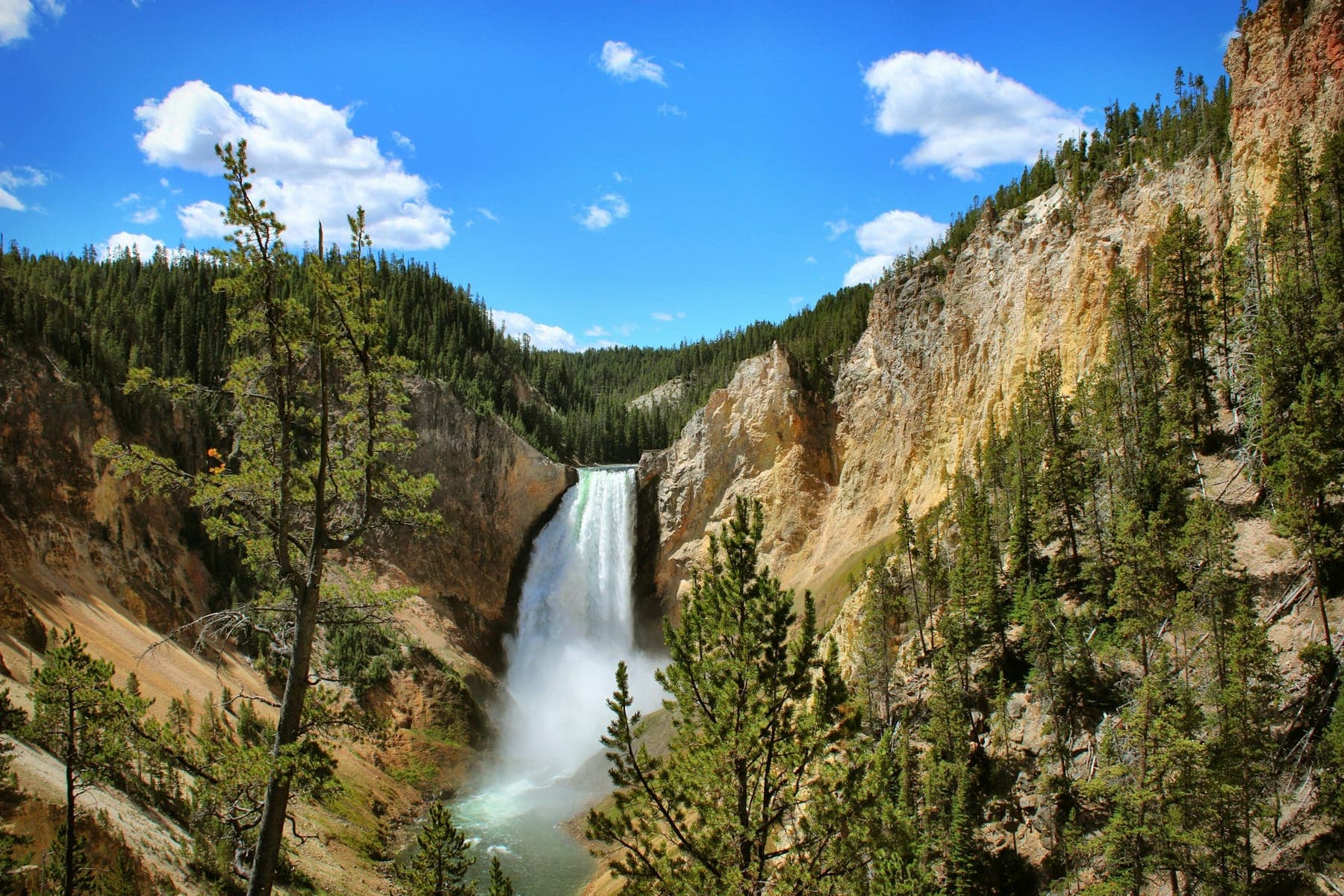 The Lower Falls of the Yellowstone River dropping into the yellow-walled canyon