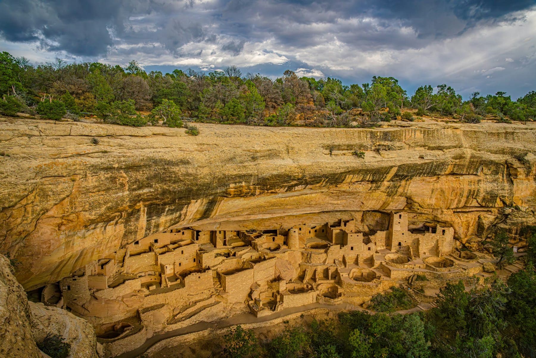 Cliff Palace, the stone cliff dwellings tucked under a sandstone overhang at Mesa Verde