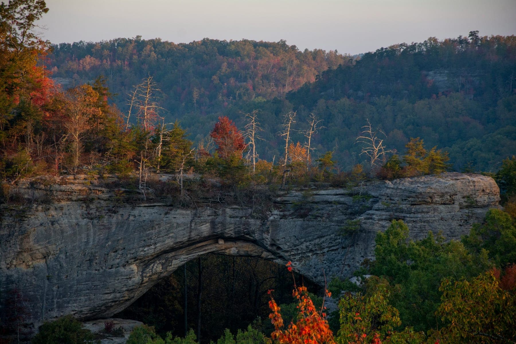 A sandstone arch above a river in fall color in the Daniel Boone National Forest