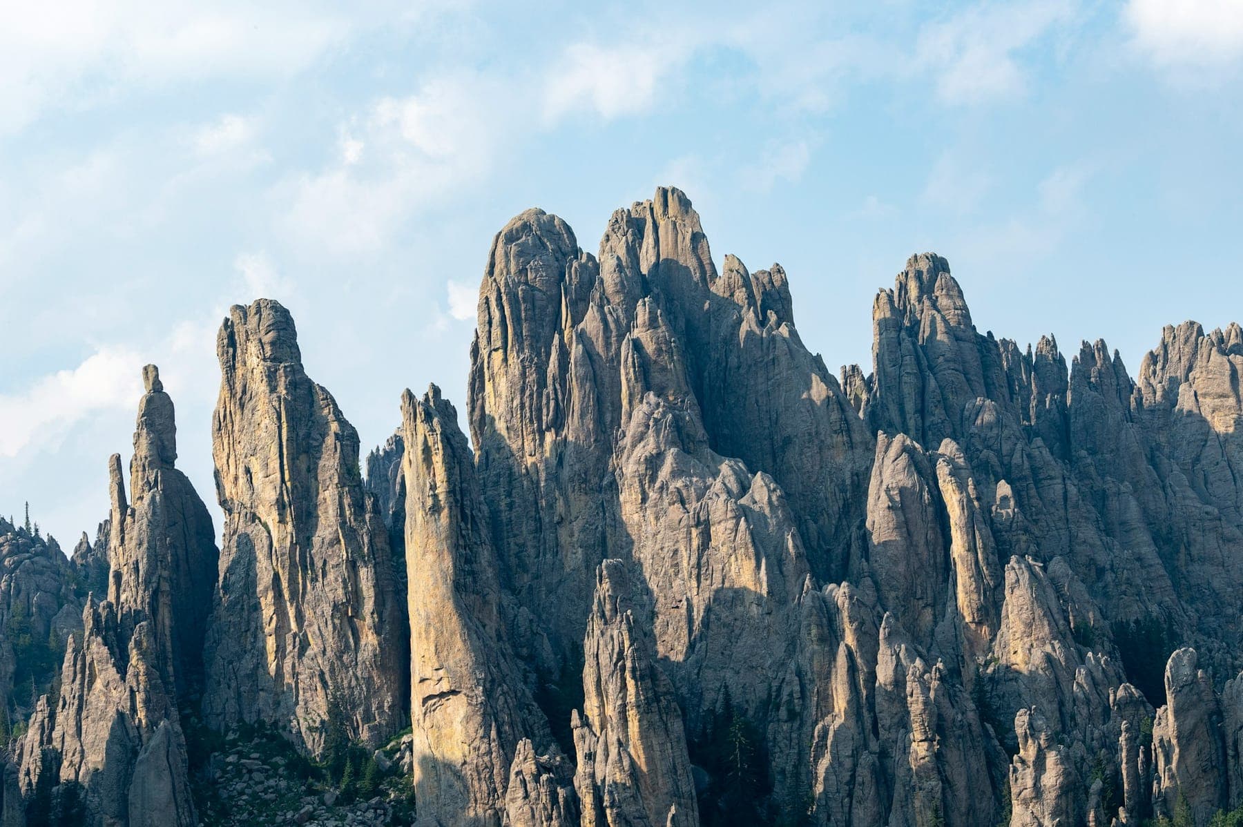 Granite spires of the Needles rising above the pines along Needles Highway