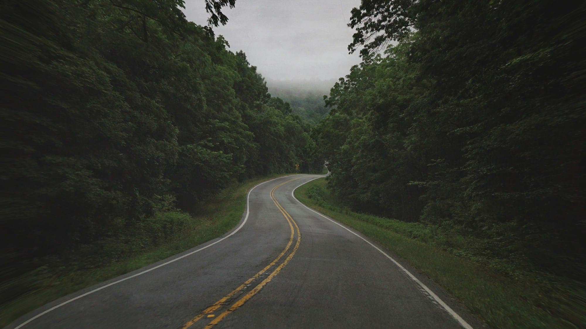 A two-lane road curving through dense forest under low cloud in the Ozark Mountains