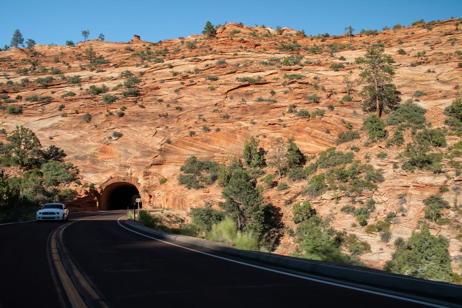 The road curving into the Zion-Mount Carmel tunnel through slickrock